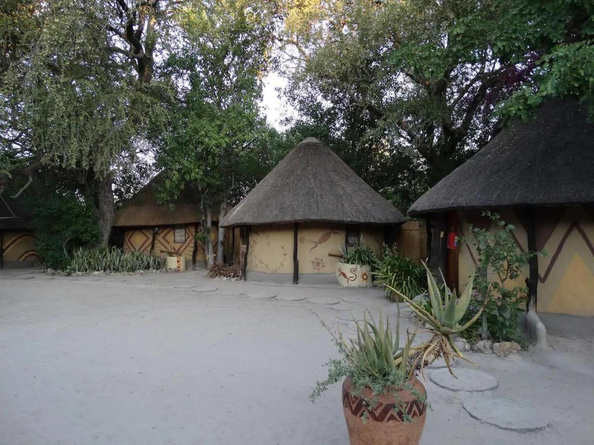 Discovery Bed And Breakfast Maun Exterior foto