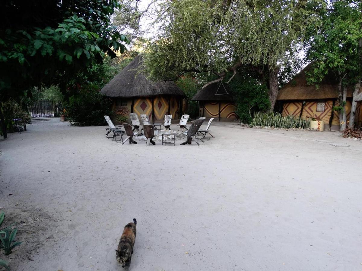 Discovery Bed And Breakfast Maun Exterior foto
